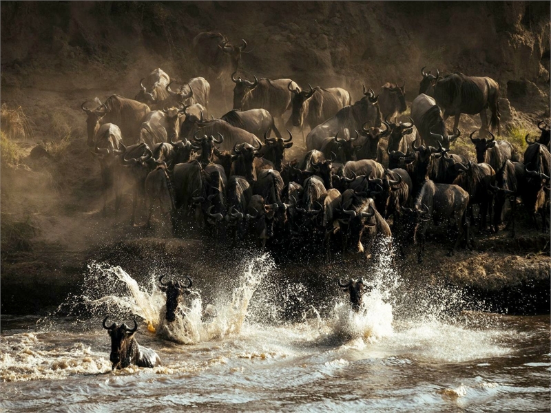 Your Safari, Your Way